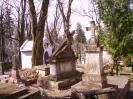 Cothurnatus - Lviv Cemeteries Cycle 2 - Готическая картинка
