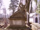 Cothurnatus - Lviv Cemeteries Cycle 3 - Готическая картинка