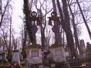 Cothurnatus - Lviv Cemeteries Cycle 8 - Готическая картинка