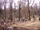 Cothurnatus - Lviv Cemeteries Cycle 11 - Готическая картинка