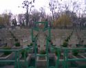 Cothurnatus - Lviv Cemeteries Cycle 19 - Готическая картинка