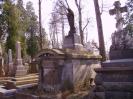 Cothurnatus - Lviv Cemeteries Cycle 18 - Готическая картинка